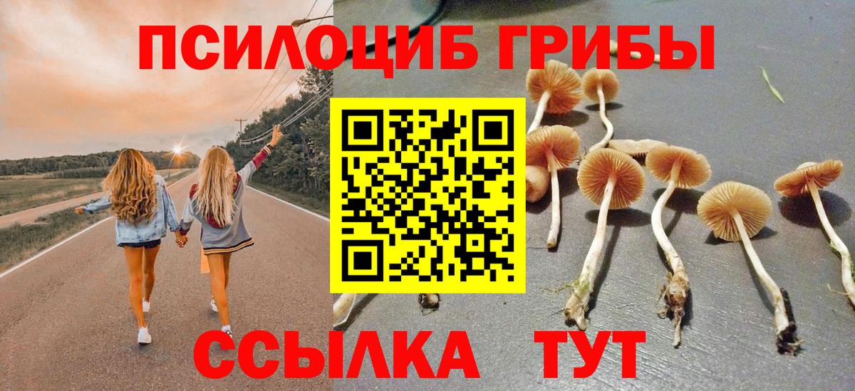 цены наркотик  Псилоцибиновые грибы мицелий  Вход с VPN  Фрязино 